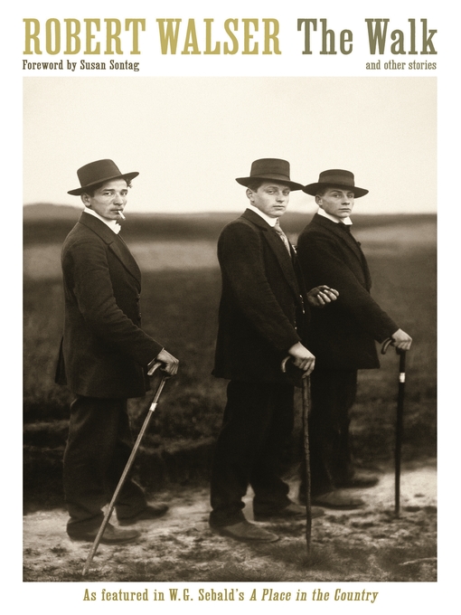 Title details for The Walk by Robert Walser - Available